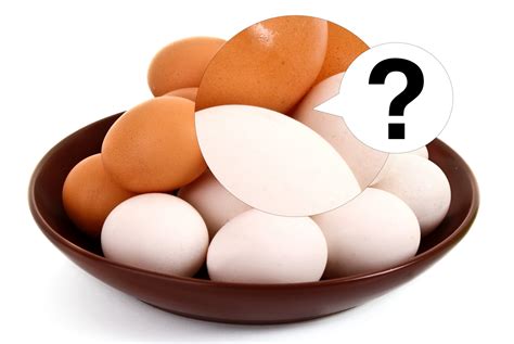 whay are egs similar to